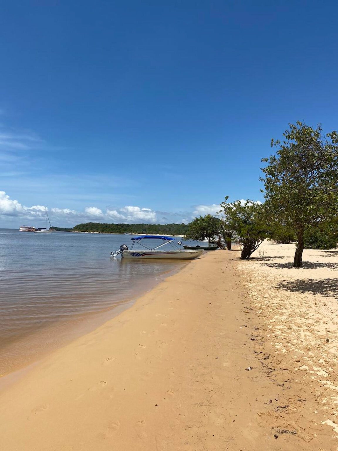 Ilha Do Amor Em Alter Do Ch O Um Para So Na Amaz Nia Paraense