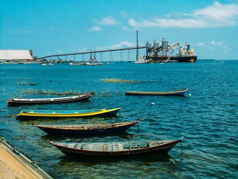Pesca na Orla de Santarém