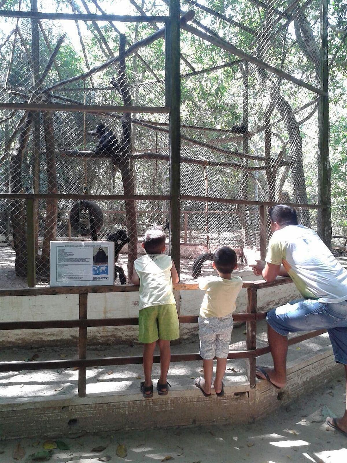 Zoológico de Santarém