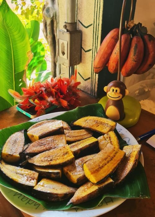 WhatsApp Image 2025-11-19 at 18.59.08