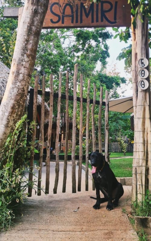 WhatsApp Image 2025-11-19 at 19.15.25 (1)