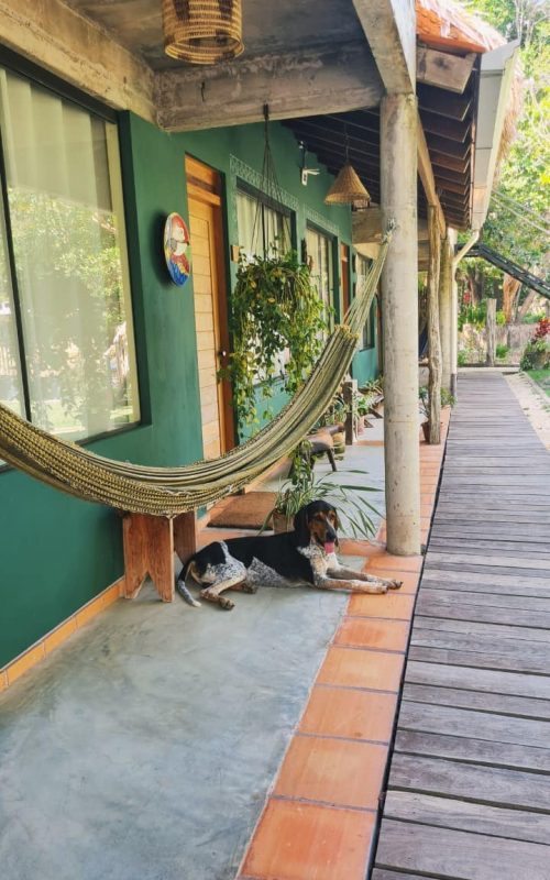 WhatsApp Image 2025-11-19 at 19.15.25